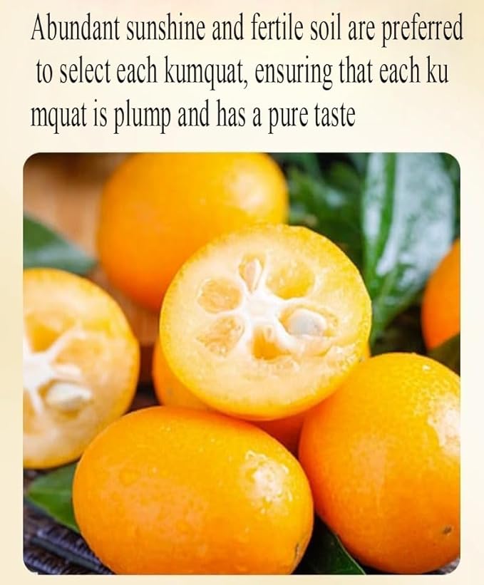 Ready To Eat Dried Kumquat Preserved Fruit Golden Kumquat Sour Sweet Kumquat Rock Sugar Kumquat 500g/can Healthy and Nutritious Dried Fruit Delicious Kumquat Dim Sum Leisure Snacks (2000g)