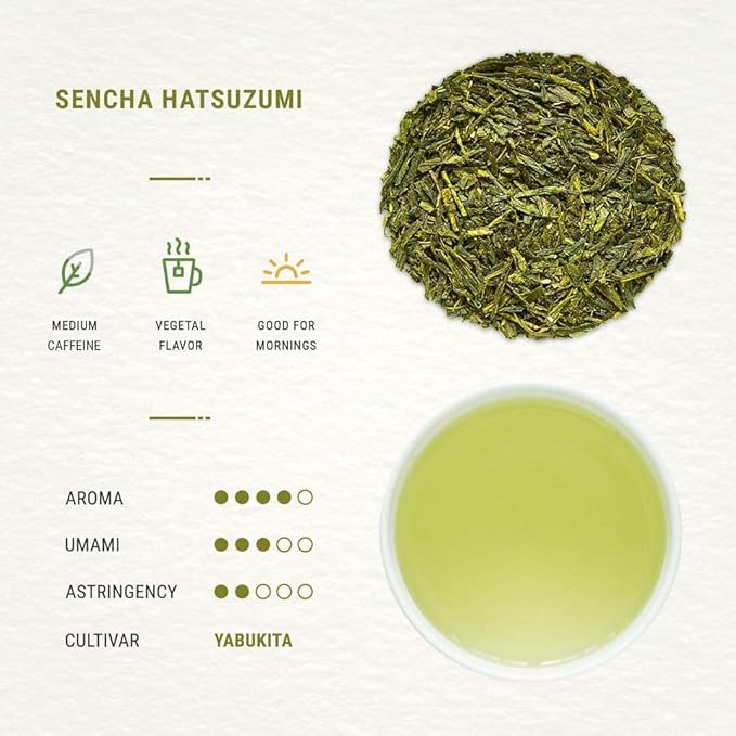Senbird Premium Sencha - Japanese Green Tea - From Shizuoka Japan - Loose Leaf Tea In Airtight Tea Tin (3.5oz/100g)