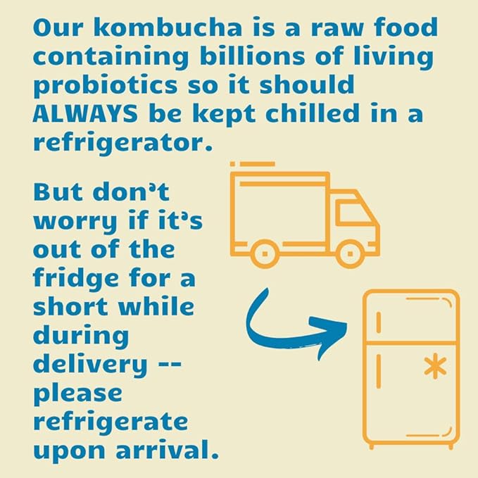 Bambucha Kombucha Thai Ginger 12 Pack Case | Chef Crafted Flavor 100% Raw Kombucha Tea Drink | Organic Vegan Gluten Free Non GMO Probiotic (12 Fl Oz Cans)