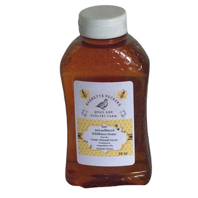 Raw Wildflower Honey Unfiltered from Ocala National Forest In Florida (16 ounces)