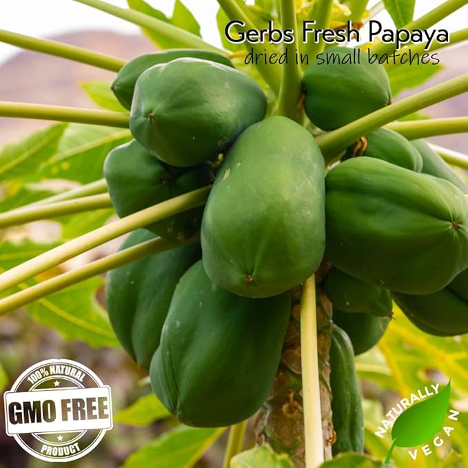 Gerbs Lightly Sweetened Dried Papaya Cubes 2 lbs. | Unsulfured No Artificial Additives Resealable Bag | Naturally Sweet &amp Chewy | Top 14 Allergen-Free