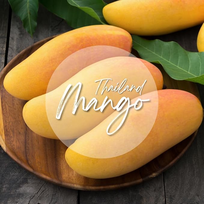 WANMAI29 Mango Freeze Dried Tropical Snack for Kids and Adults Crispy Fruit Pieces No Sugar Added Non-GMO and Gluten Free Pack of 5 (0.52 oz Each)