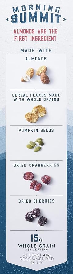 Mills Morniing Sumit Cereal Maple Berry 38 Oz