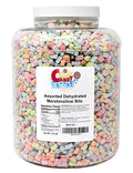 Sarah's Candy Factory Assorted Dehydrated Marshmallow Bits in Jar 2.5 Lbs (updated)