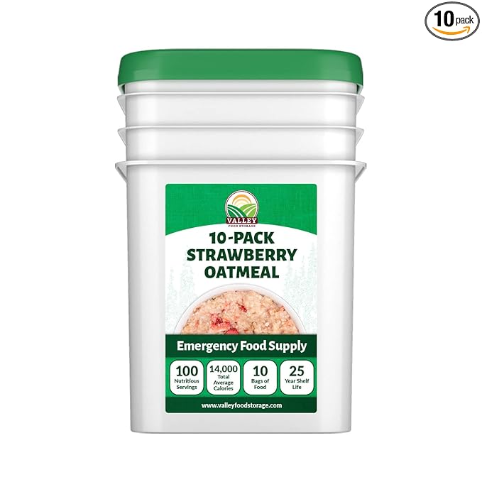 Valley Food Storage Freeze Dried Strawberry Oatmeal | 10-Bag Bucket 100 Servings | Premium Emergency Food Supply with 25 Year Shelf Life | Non-GMO Freeze Dried Breakfast &amp Prepper Food