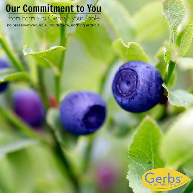 Gerbs Dried Sweetened Blueberries 2 lbs. | Unsulfured No Artificial Additives Resealable Bag | Naturally Sweet &amp Tart | Top 14 Allergen-Free