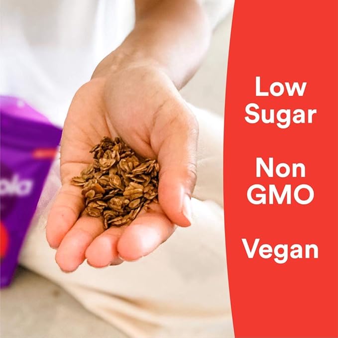 gr8nola CINNAMON CHAI - Healthy Low Sugar Vegan Bulk Granola Cereal - Made with Superfoods Cinnamon Ginger and Cardamom Soy Free Dairy Free and No Refined Sugar - 4.5lb Resealable Bag