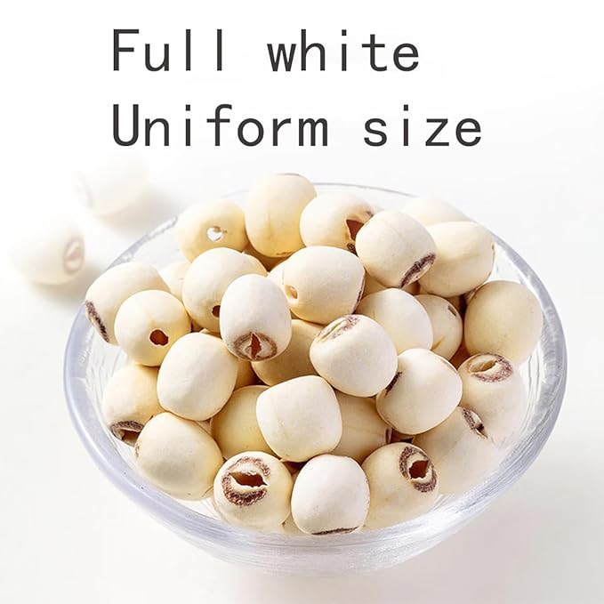 Dried Lotus Seeds 1lb White Lotus Seed without Cores Cooking Porridge and Soup 454g