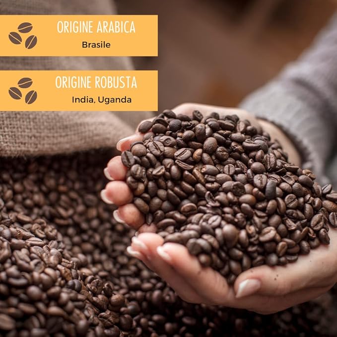 Caffè Motta: Lounge Bar Roasted Coffee Beans 1 Kg 2.2 Lb [ Italian Import ]