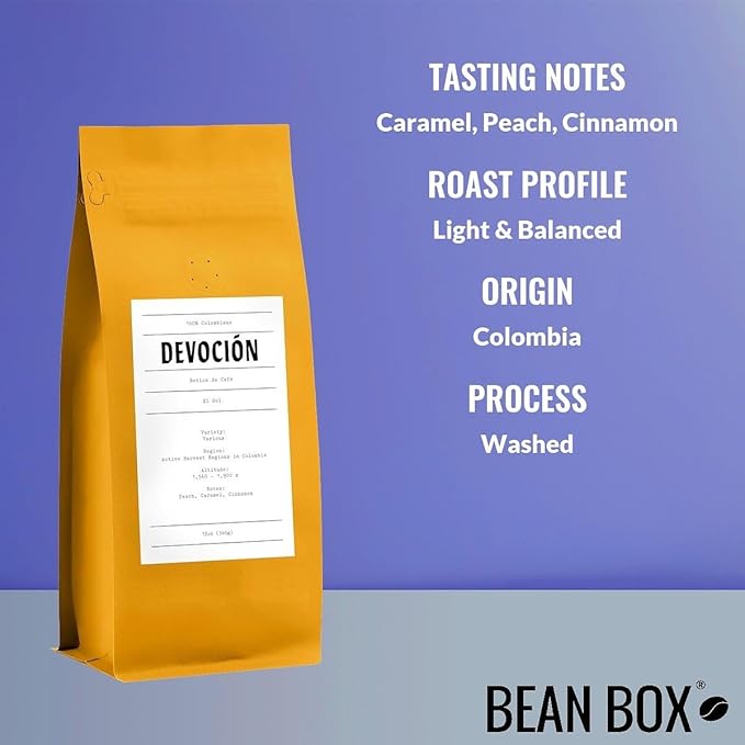 Bean Box Sampler - Roasted by Devocion 3-Pack Whole Bean Coffee Gourmet Coffee