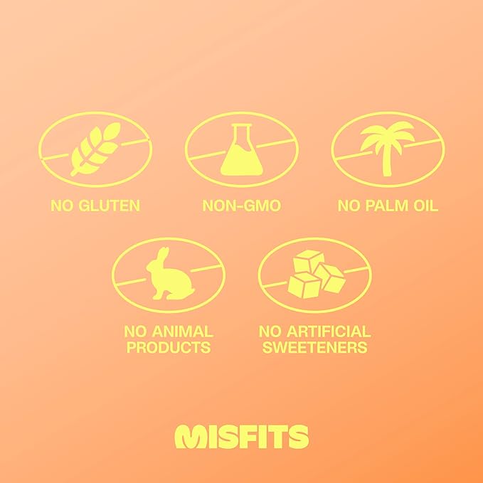 Misfits Vegan Protein Bars - Peanut Butter Fudge | Nutrition Bars - 14g Protein 1g Sugar Plant-based Low Carb Non-GMO Gluten Free Snacks | Pack of 12