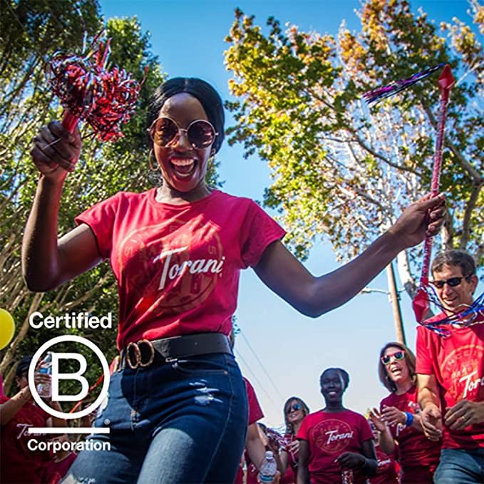 Torani Winter Spice Flavored Drink Syrup 25.4 fl oz (Pack of 4)