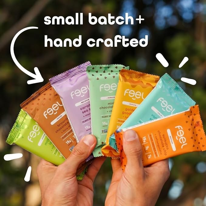 Feel Vegan Protein Bars Focus Lion’s Mane Dairy Nut Grain Soy Free 15g Plant Protein Adaptogenic Snack Organic Low Sugar Low Carb Gluten Free Brownie Chocolate Chip 10 Pack