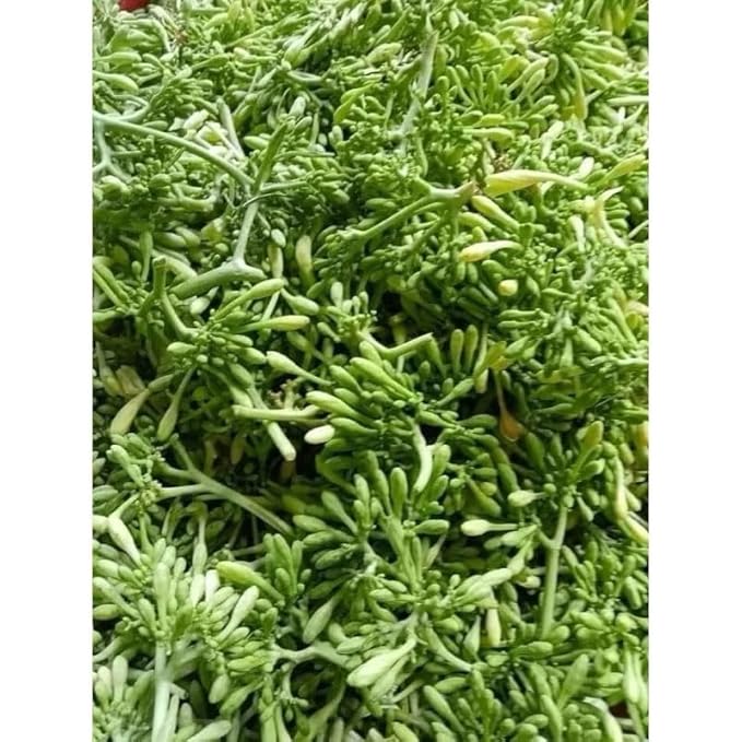 Dried Papaya Male Flowers Tea Vietnamese Natural Sugar Free Hoa Du Du Duc 500g