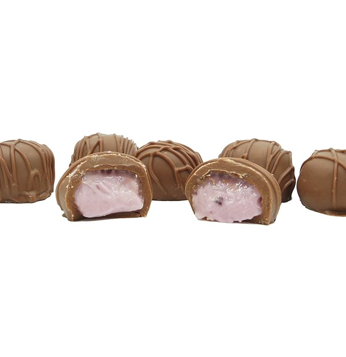Philadelphia Candies Homemade Blueberry Creams Milk Chocolate 1 Pound Gift Box