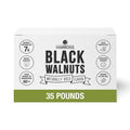 Hammons Fancy Large Black Walnuts -Wild Harvested - Non-GMO - Gluten-Free - High Protein - Keto Snack - Nuts for Cooking and Baking - 35Lb Box