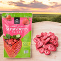 generic Member Mark Freeze Dried Strawberry Slices 3 oz.