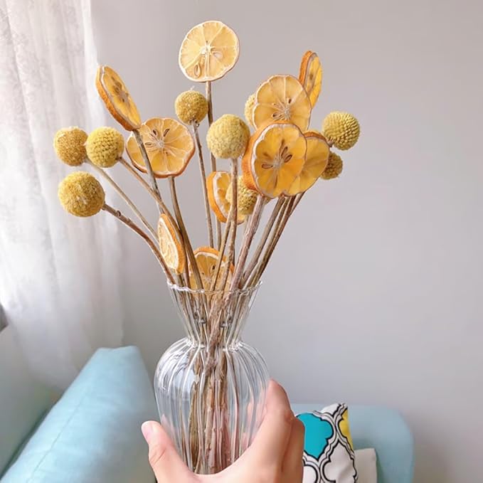 Preserved LemonDried Lemon Slices500g/17.6oz Individual Packs 100% Natural Premium QualityAdd HoneyFor Cocktails Garnishes/Drinks/Teas/Decor（About 80 pieces） (500g)