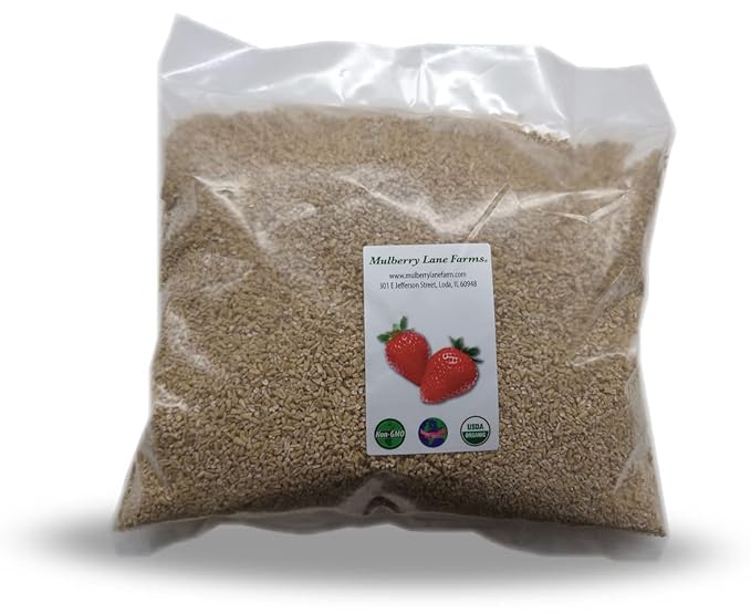 Steel Cut Oats (Steelcut) 5 Pounds (Oat Groats Irish Oatmeal) USDA Certified Organic Non-GMO Bulk Mulberry Lane Farms