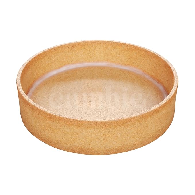 Cambie Sweet Round Large Tart Shells 3.15 Diameter French Style Tart Shells with White Chocolate Coating (Pack of 24)