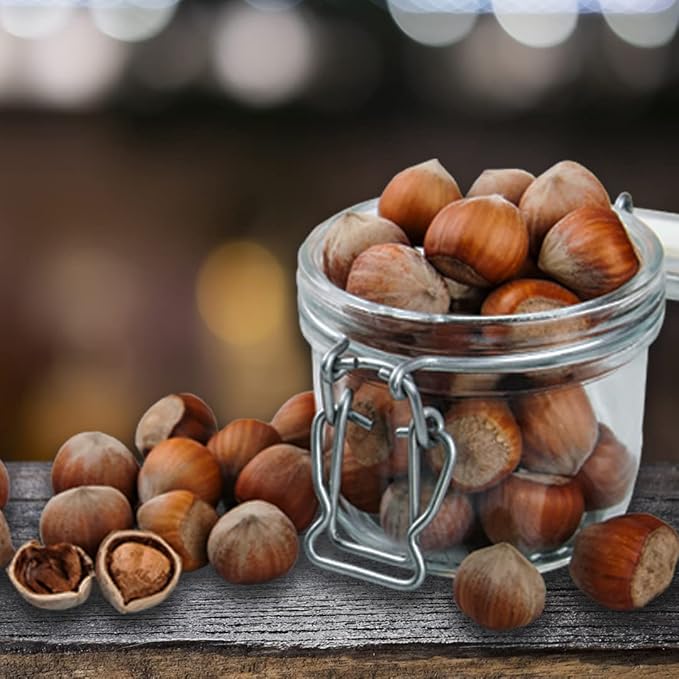 Presto Sales Filberts Hazelnuts Raw In Shell - 80 oz. (5 lbs.) Resealable Bag - Non-GMO Gourmet and Savory Flavor Hazelnuts Natural Healthy Low-Carb Keto Friendly Snack by Presto Sales