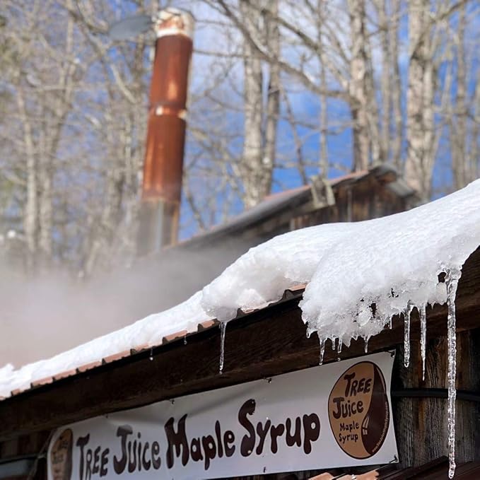 Tree Juice Vanilla Infused Maple Syrup | 100% Pure Grade A Maple Syrup | All Natural Non GMO Vegan Gluten Free Vegetarian Paleo | 12 Ounce Bottle