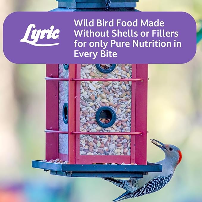 Lyric Delite Wild Bird Seed for Outside Feeders - No Waste Bird Food Nuts &amp Seeds Mix Attracts Buntings Chickadees &amp Finches 10 lb (Pack of 2-5 lb Bags)