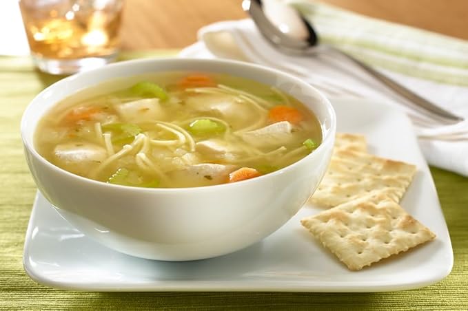 Knorr Professional Soup du Jour Chicken Noodle Soup Mix No added MSG 0g Trans Fat per Serving Just Add Water 13.3 oz Pack of 4