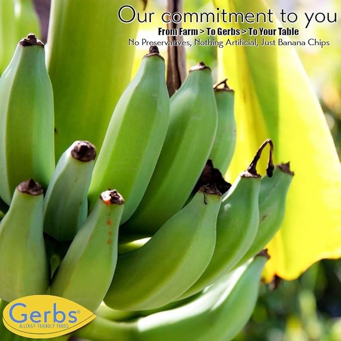 Gerbs Banana Chips Sweetened 2 LBS – Unsulfured &amp Preservative Free - Top 14 Allergy Friendly &amp Non GMO - Product of Philippines