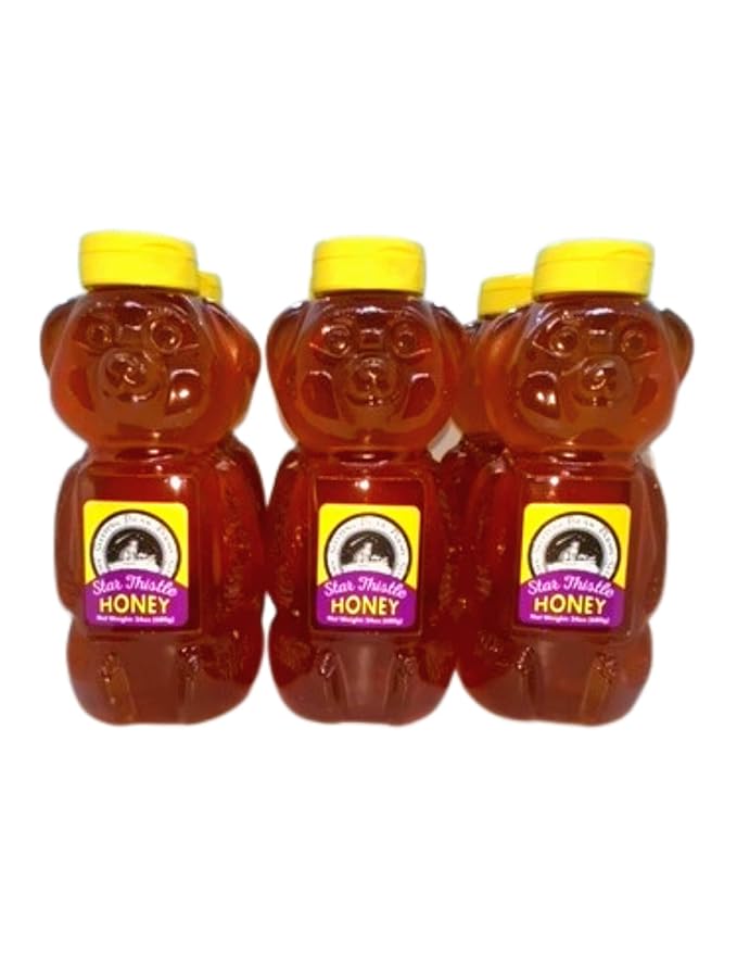 Star Thistle Honey Bear 24 oz. Unpasteurized Unblended No Additives Pure Michigan Honey