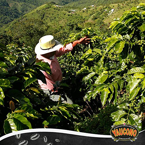 Yaucono Ground Coffee Bagged Arabica Medium Roast 14 Ounce (Pack of 2)
