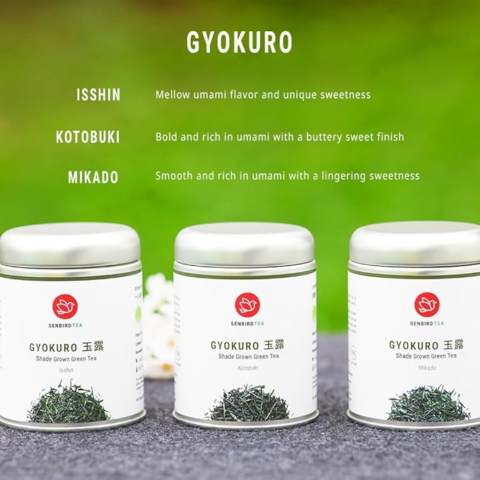Senbird Premium Gyokuro - Japanese Shade Grown Green Tea - From Kyoto Japan - Imperial Loose Leaf Green Tea In Airtight Tea Tin (1.76oz/50g) (Mikado)