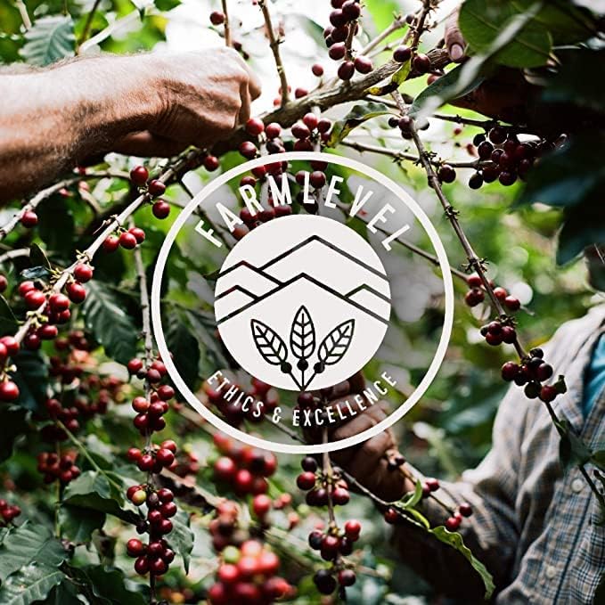 Verve Whole Bean Coffee | Sermon &amp Seabright Medium Roast Bundle | 12oz Bags