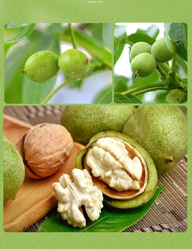 Shell Free Honey Walnuts 425g/Can Walnut Kernels Nuts and Dried Fruits Satisfying Snacks Family Snacks Holiday Gifts Afternoon Tea Desserts Healthy and Nutritious Snacks (1 Can)