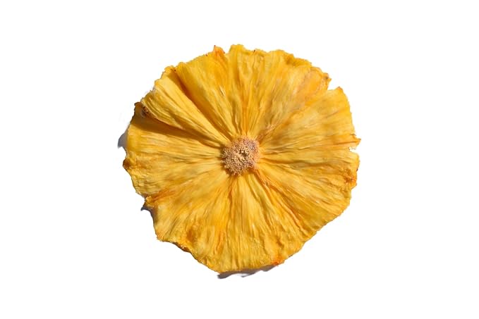 Dehydrated Pineapple slices  Cocktail Garnish Healthy Snacks Hikers Delight lunch box snacks sweet nutritious and easy to store. Vitamin C folate and dietary fiber making them a healthy snac