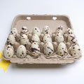 Knipschildt Chocolatier Chocolate Quail Eggs 5.4 OZ