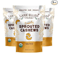 Lark Ellen Farm Sprouted Salted Cashews - Non GMO Healthy Keto Snacks Paleo Gluten Free Vegan Certified Organic Nut Sugar Free High Protein Kosher Low Glycemic 10 oz - 3 pack