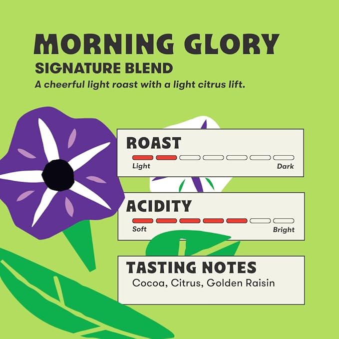 Peace Coffee Morning Glory Signature Blend Ground Light Roast Coffee 5 lb Organic Fair Trade Smooth Mild Flavor Shade Grown Fresh Roasted