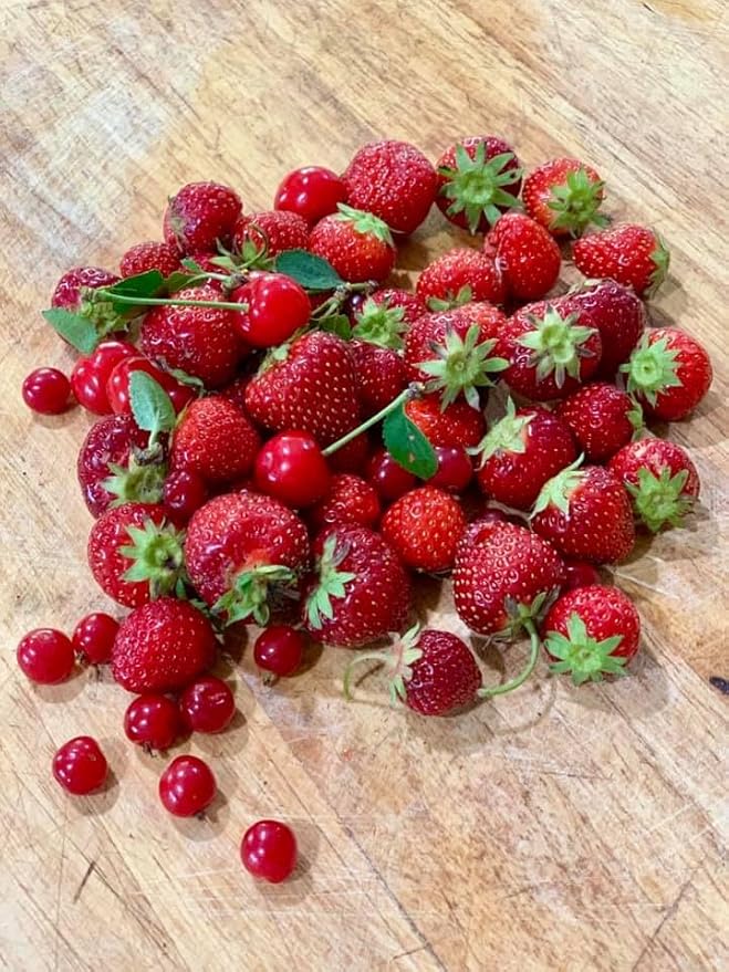 Tree Juice Strawberry Maple Syrup | All Natural Non GMO Vegan Gluten Free Vegetarian Paleo | 12 Ounce Bottle
