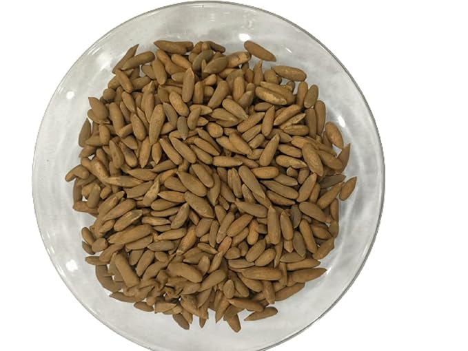 Pine Nuts In Shells Chilgoza Fresh Crops Pine Nuts In Shells - Fresh Crops Bulk Deal Afghan pine nuts 1000 GRAM