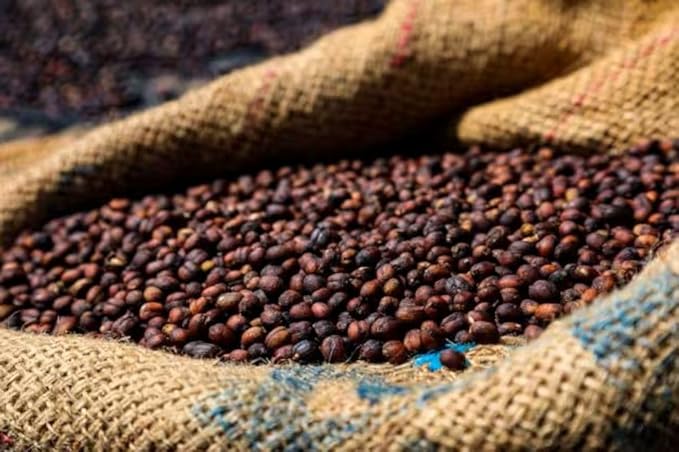 Super High Caffeine | Double Caffeine | Organic | Strong Robusta Coffee | Fresh Roasted | Ground | 1 LB 1-Pack