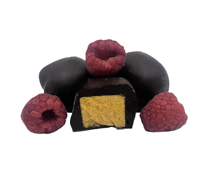 Oliver's Raspberry Sponge Candy - Dark Chocolate 1 pound