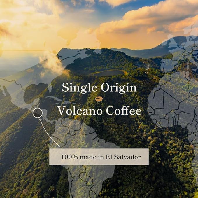 Bean of Fire El Salvador Pacamara Honey Ground Coffee – Medium Roast Single Origin Specialty Creamy &amp Nutty Cup (16 oz)