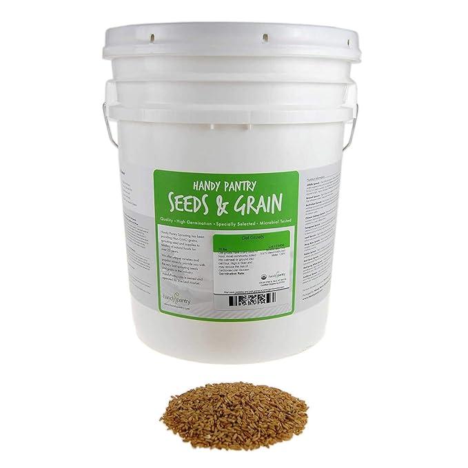 Organic Hulled Oat Groats - 30 Lbs - Oats - Hull Removed - Cereal Grain - Storage Grains &amp More