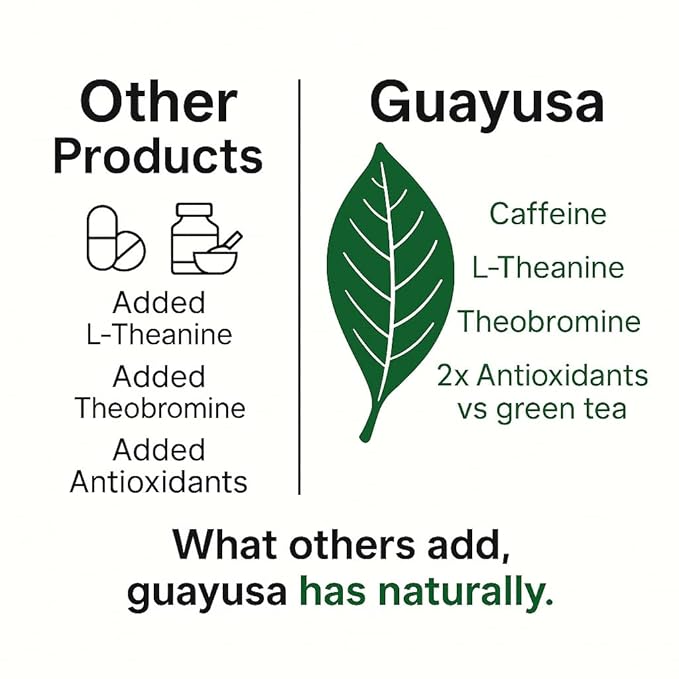 Guayusa Loose Leaf Tea by PACHA | 66mg Caffeine | Naturally High in Antioxidants L-Theanine &amp Theobromine | Sustained Energy Herbal Tea (1 Pound (Pack of 1) Golden Guayusa)