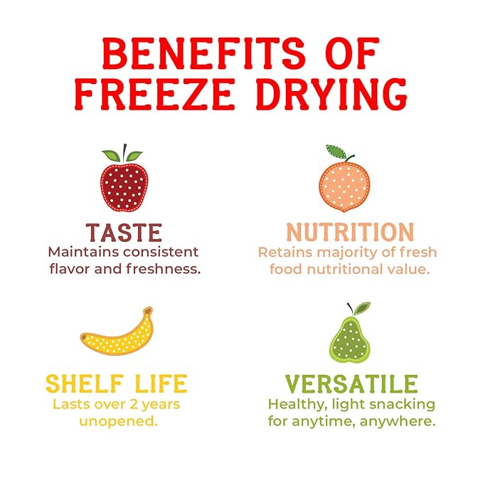 Nature’s Turn Freeze-Dried Fruit Snacks Strawberry and Apple Cinnamon Pack of 24 (0.53 oz Each)