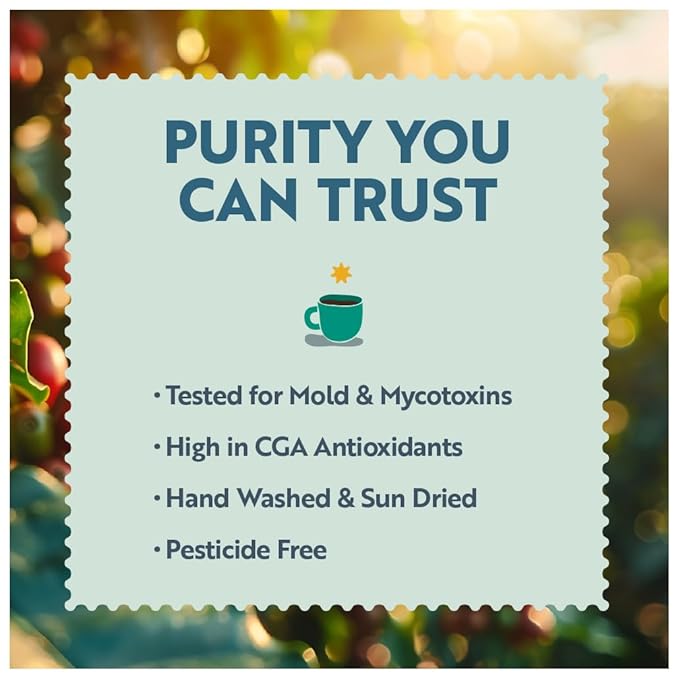 Clean Coffee Co. - Low Acid Espresso Roast Tested for Molds and Toxins Sumatra Blend Notes of Dark Chocolate Caramel Toasted Sweetness (Whole Bean 12 oz Bag)