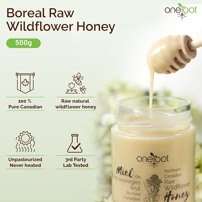 OneRoot Raw Honey Bundle – 500g Buckwheat &amp 1.1 lbs Canadian Wildflower Honey – Unheated &amp Nutrient-Rich – Antioxidant-Packed Natural Sweeteners