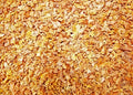 Sun-Dried Apricot Dices 2 lb