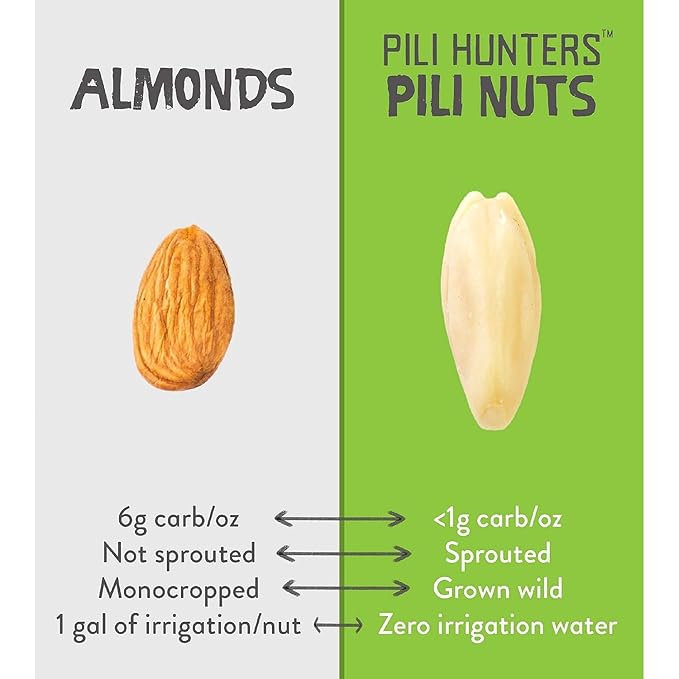 Pili Hunters - Wild Sprouted Pili Nuts Natural Unsalted Plain (1 lb Bag) Keto/Paleo/Vegan Snacks Low Carb Energy Gluten Free No Sugar Added Superfood The Original